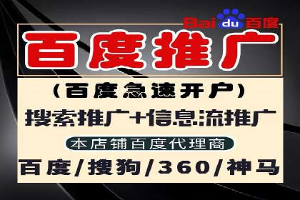 网络营销新篇章：竞价推广案例分析